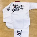 국가대표 효 태권도 이미지