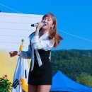 진영밧데리 이미지