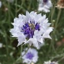 덕동농장 이미지