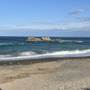 감포조개구이 | 감포 조개구이 바다뷰 맛집 : 신라의 달밤 반월성 포장마차 내돈내산 추천 후기