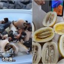 비계삼겹살은 차라리 양반…제주도 ‘썩은 참외’에 ‘해산물 바가지’ 또 터졌다 이미지