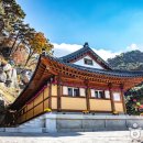 합천불고기 이미지