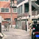 유진PC | [2025.09. ~ 2025.10.] 가을련이 오긴 오는 모양