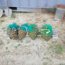 상리목장 이미지