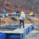 금곡낚시터 이미지