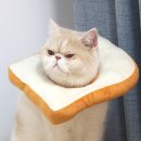 카라마켓