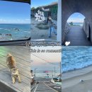 선창할아버지 | 뚜벅이도 걱정없는 묵호 혼자 여행 2박3일 코스 기록 (1)