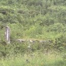 성림포레스트 이미지