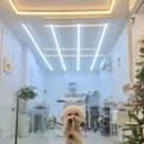 모링모링 이미지