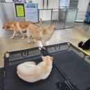 프로네앞마당 이미지