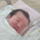 행복한 꿈을 꾸는  이미지