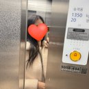 어머나운동본부 머리카락 세 번째 기부 후기