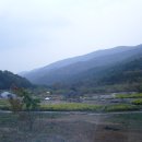 산상의들국화향기