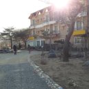 경주숲속생명의원 이미지