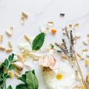 현대향기세탁 이미지