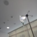 북측매표소 화장실 | 2026년 첫 시작을 독감과 함께, 서울숲 “월리를 찾아라(WHERE’S WALLY?)” 체험형 전시 관람 후기