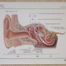 청주중앙포낙 네이버블로그