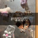 9월(1) 베스킨 신메뉴, 일본 기념품(과자, 멜론 스프레드), 건대 소품샵, 장안 맥주축제