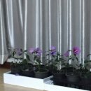 삼일통신 이미지