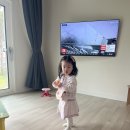 소로르 베이비 네이버블로그