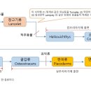 심곡252-4 ~ 357-2 | [중간][357주][326권] 대멸종의 지구 : 제2부 고생대 중기