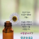 양궁 유감~ 이미지