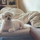 남일초밥식당 | 10월 일상