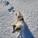 하늘밭, 봄 | 아이와 가기 좋은 고창펜션, 하늘마을펜션 후기