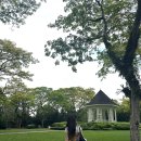 모네빌딩 | 내 퍼스널 컬러는 싱가포르야 :싱가포르여행 1,2일차 [마리나베이샌즈/가든스바이더베이/클락키/슈퍼...