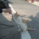 신도3리 마을회관 이미지