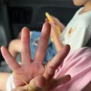 우진카랜드 이미지