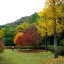 의암 스카이워크 이미지