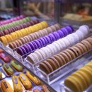 제이브라운 이미지