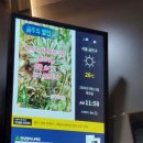 뜰샘음악학원탄벌점 | 9월과 10월 사이 : 기회는 해돋이와 같아서 너무 늦게 바라보면, 놓치게 된다.