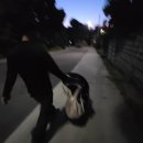 캐나다 토론토 8일차 나이아가라폴스 버스로 이동