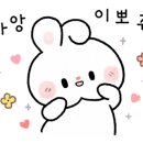 위드미펫살롱 이미지