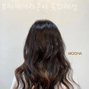 무하헤어라운지