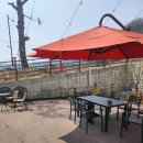 청송 | [청송카페] 경북 청송군 청송읍 청송 브런치 카페 '핀버트카페' 후기