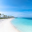 선아일랜드 이미지