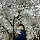 자유공원(지하화장실) | [인천] 자유공원 분위기 좋은 카페 추천 몬스터스토리지 인천역점