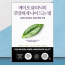 메이오 이미지