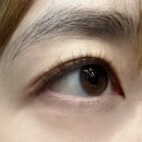 다오뷰티