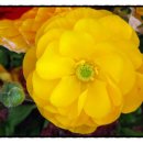 송암노인요양원 이미지