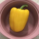 297 | D+297 후기이유식 파프리카큐브 만들기 전자렌지 찜기