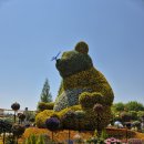 고양국제꽃박람회 이미지