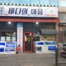 바다의마음