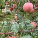 횡성농장 이미지