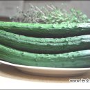 김진오농장 이미지