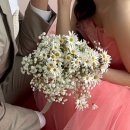 (주)서진소프트 | W.12 웨딩촬영 소품 준비물(컨페티, 전동버블건, 토슈즈, 어린시절 사진, 반지 및 체크리스트)