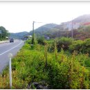 금오모텔 이미지